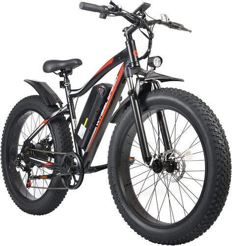 Fat Bike